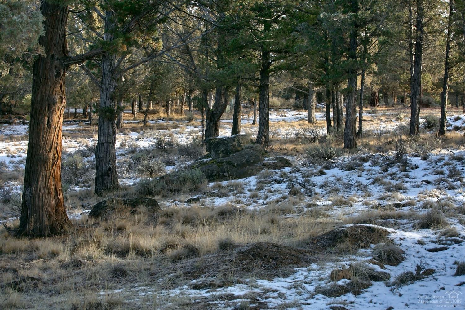 Rim At Aspen Lakes - Land