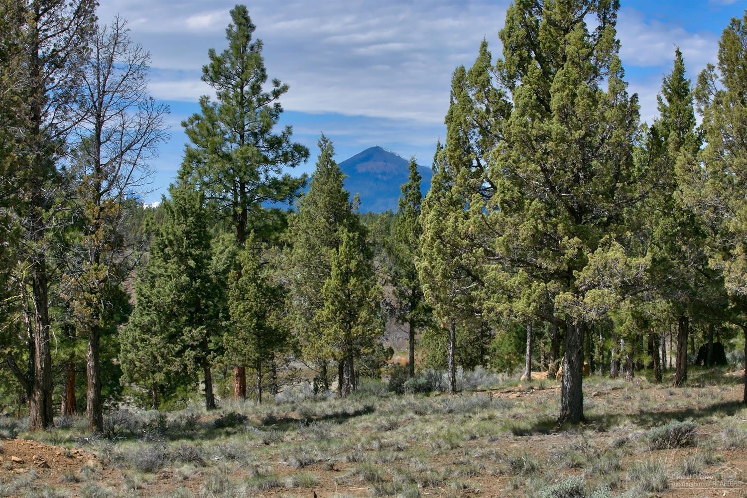 Rim At Aspen Lakes - Land