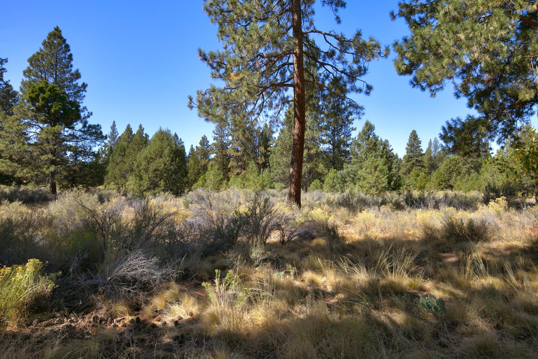 Broken Top - Residential