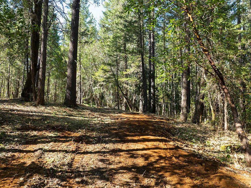 6.54 Acres of Beautiful Property about 10 Miles West of Grants Pass. Very Pretty Land with Level to Gently Sloping Terrain and a Beautiful Forest. This Property offers a Lovely Variety of Trees and some Attractive Open Spaces. A Well has been Drilled, and a Standard Septic System is already installed! Survey on File, and Grid Power and Other Utilities are available adjacent to this Property. This Property is zoned RR 2.5 and has the Zoning and Acreage needed to be Potentially Divided into Two Parcels. Homesite(s) would be sited well back from any busy roads. Newly Graded Access provides Easy Access to the Potential Building Site, which is in a Lovely Setting, away from Neighboring Properties. This Parcel is Located less than a 5 Minute Drive to the Waters Creek Interpretive Trail, and Miles of BLM and Forest Service Roads, offering Endless Recreational Opportunity! Come see this Lovely Parcel that is located less than 15 minutes from Town!