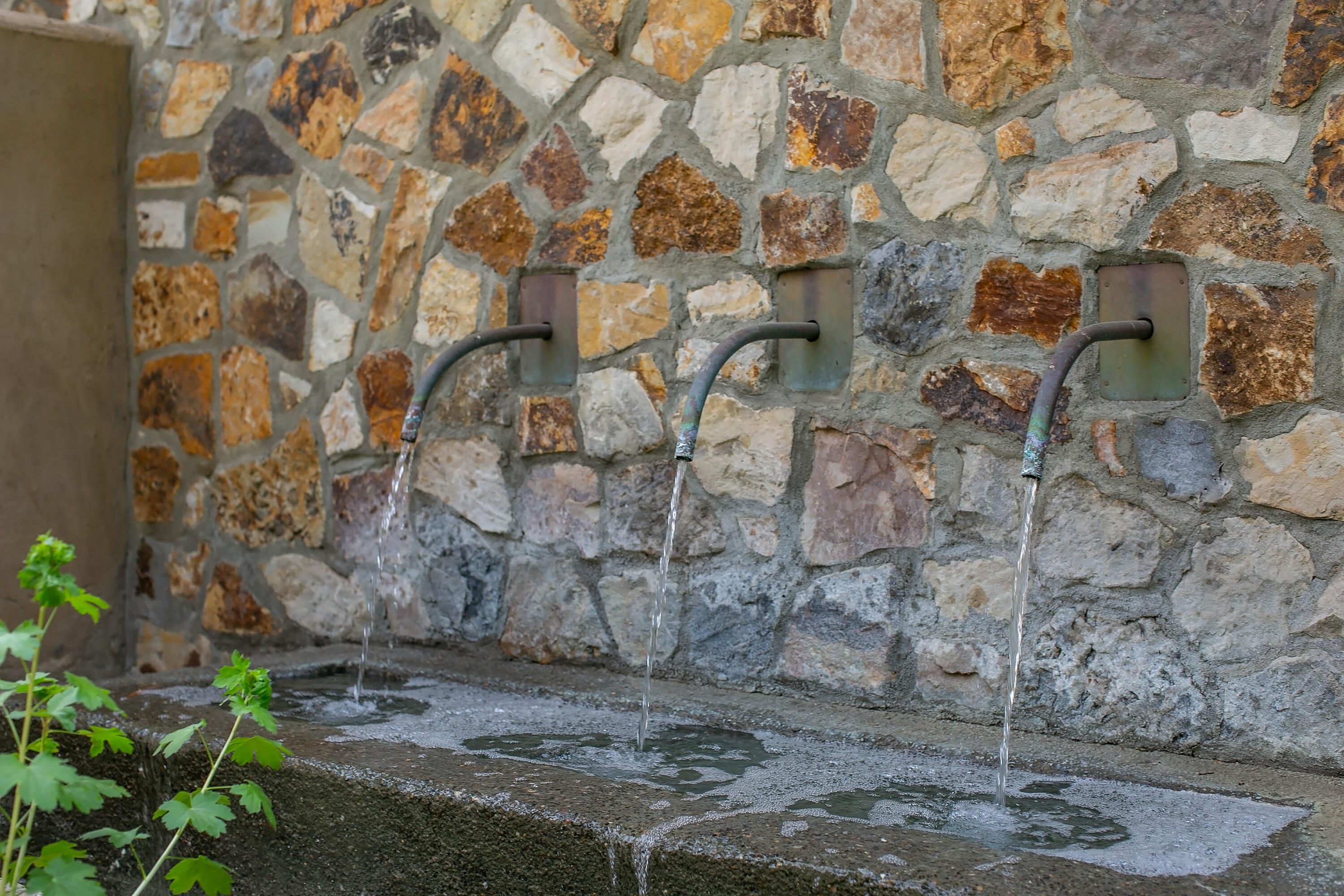 Pronghorn - Residential