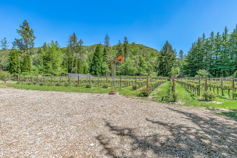 Tiny photo for 13587 OR-238, Jacksonville, OR 97530 (MLS # 220223218)