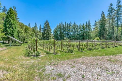 Tiny photo for 13587 OR-238, Jacksonville, OR 97530 (MLS # 220223218)