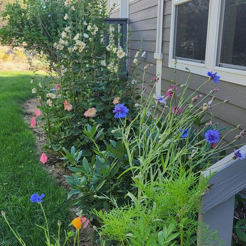 Tiny photo for 69592 Lake Drive, Sisters, OR 97759 (MLS # 220217168)