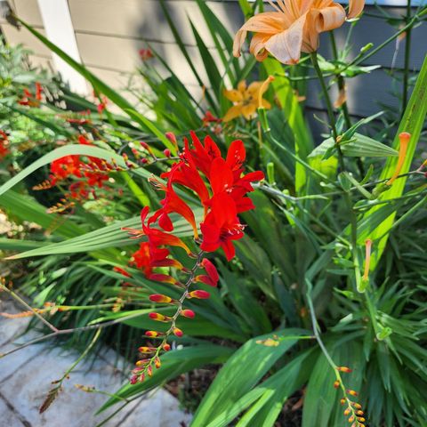 Tiny photo for 69592 Lake Drive, Sisters, OR 97759 (MLS # 220217168)