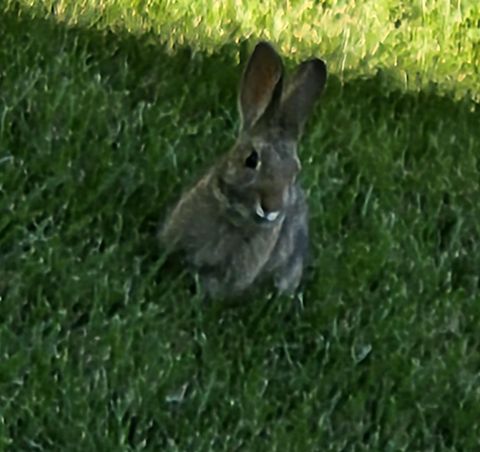 Tiny photo for 69592 Lake Drive, Sisters, OR 97759 (MLS # 220217168)