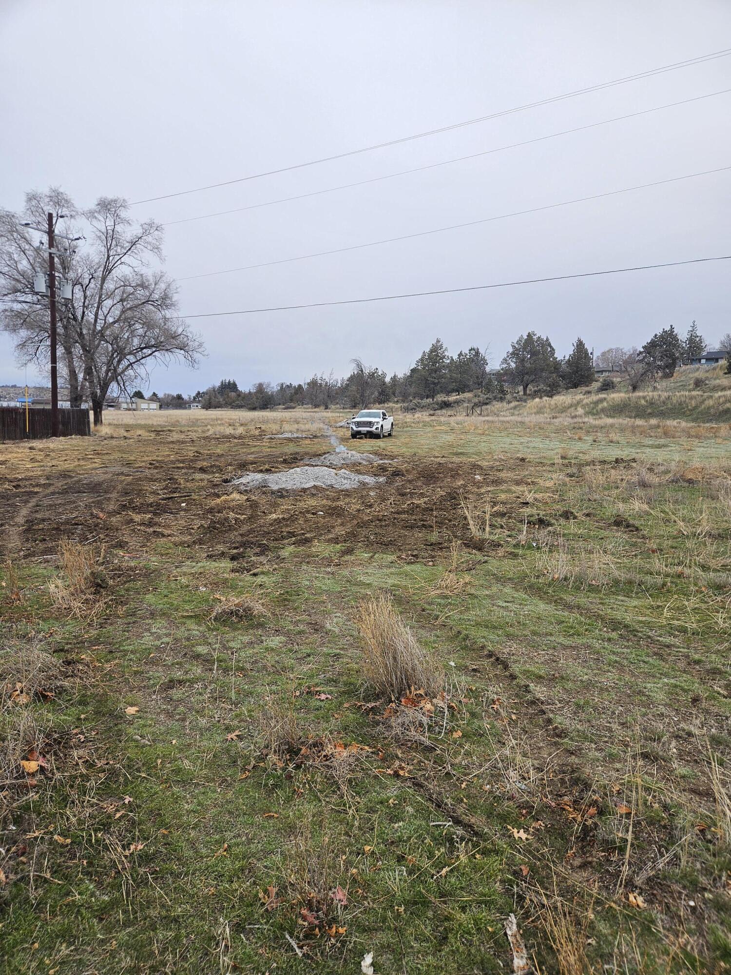 Bone Addition - Commercial Sale