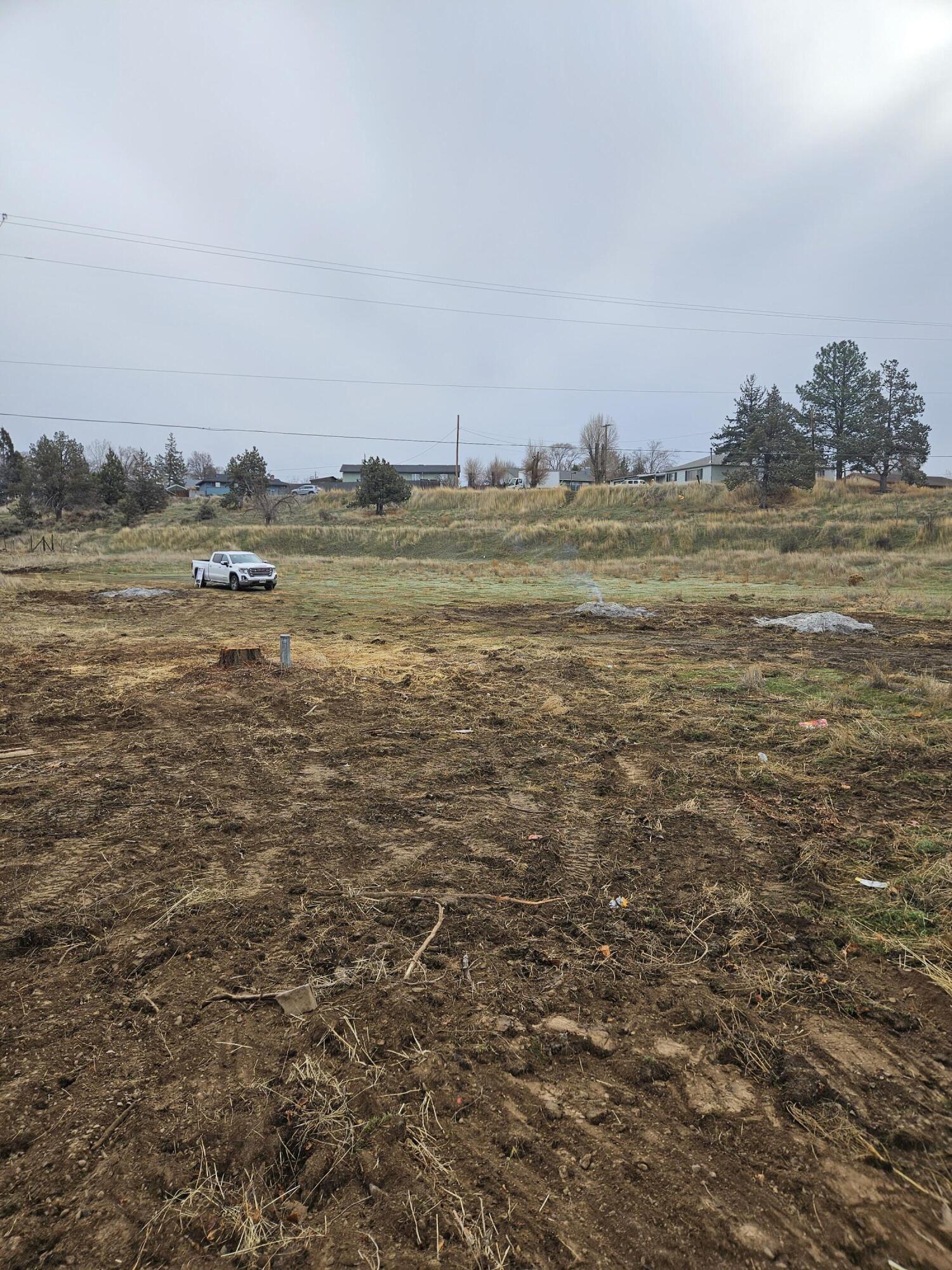 Bone Addition - Commercial Sale