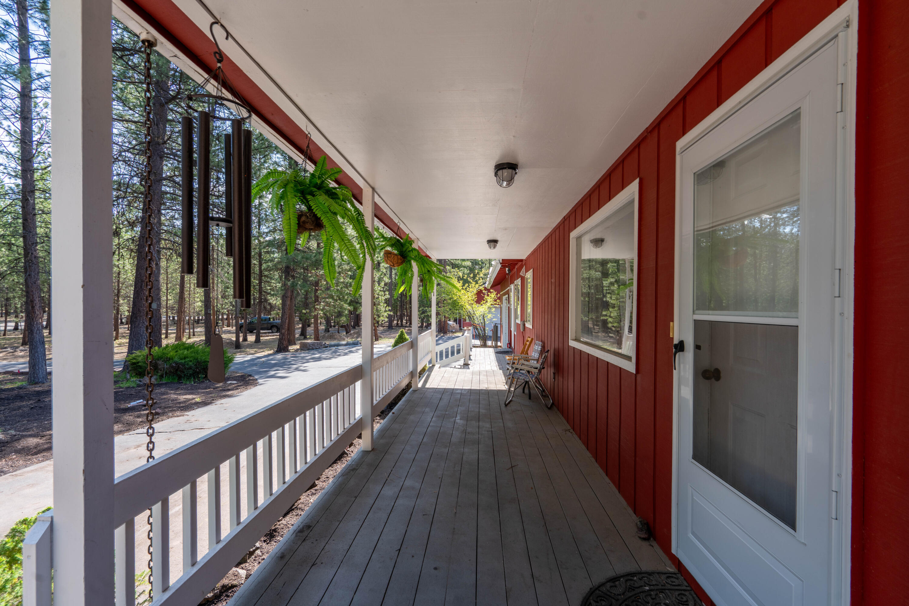 14731 Longleaf Pine