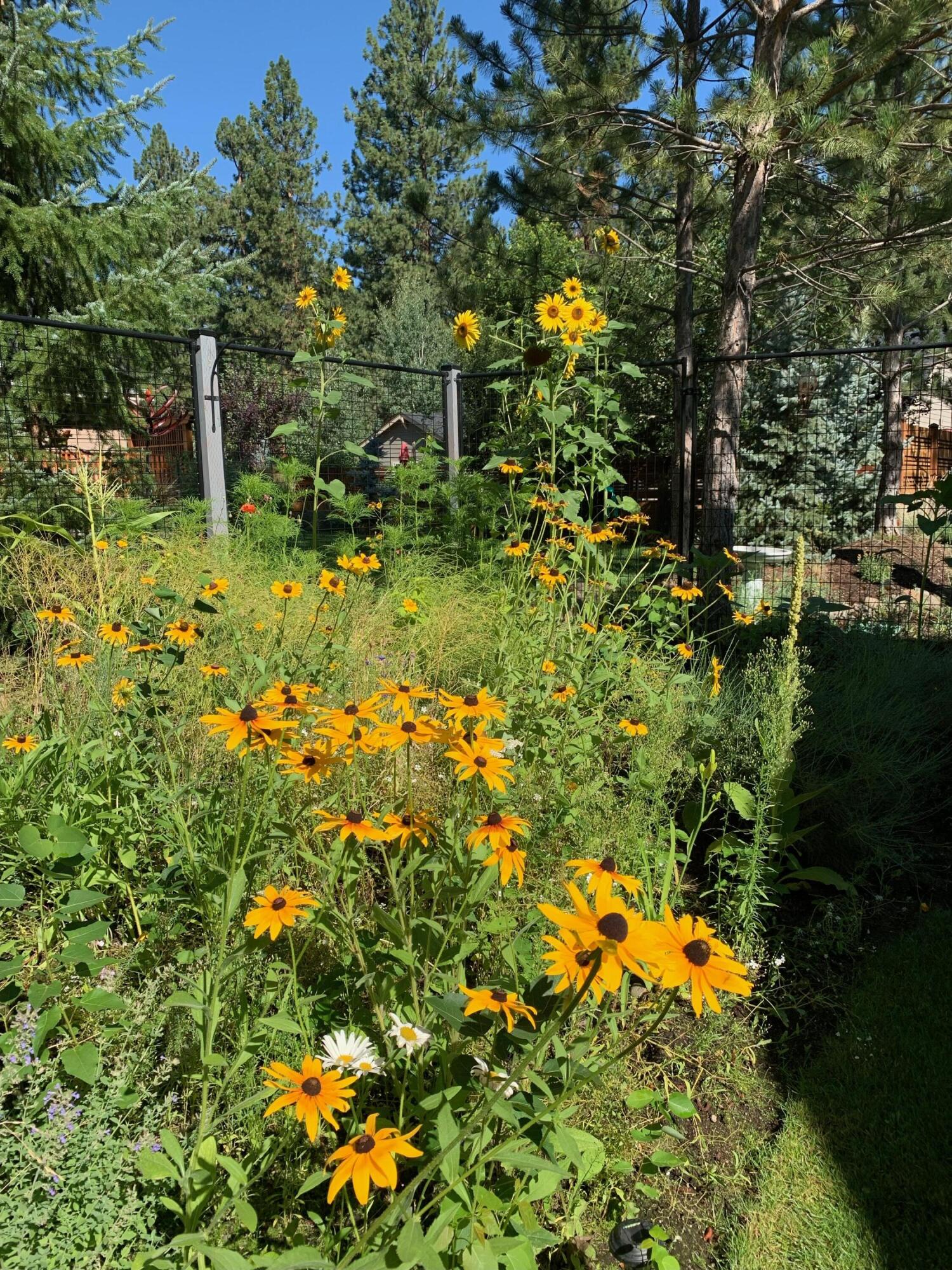 Buck Run - Residential