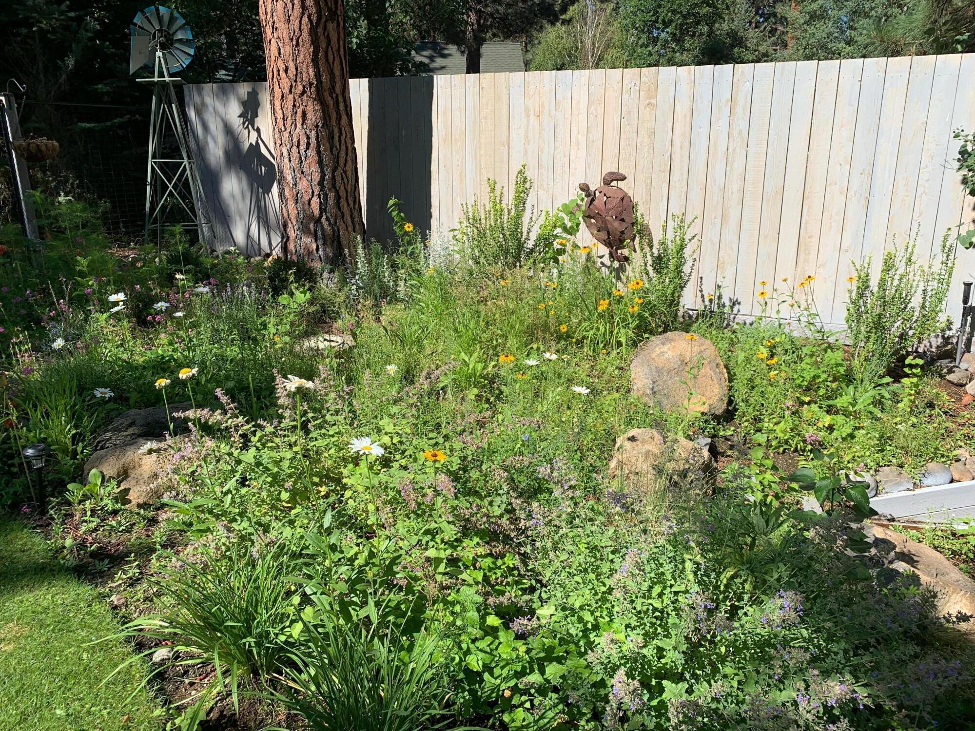 Buck Run - Residential