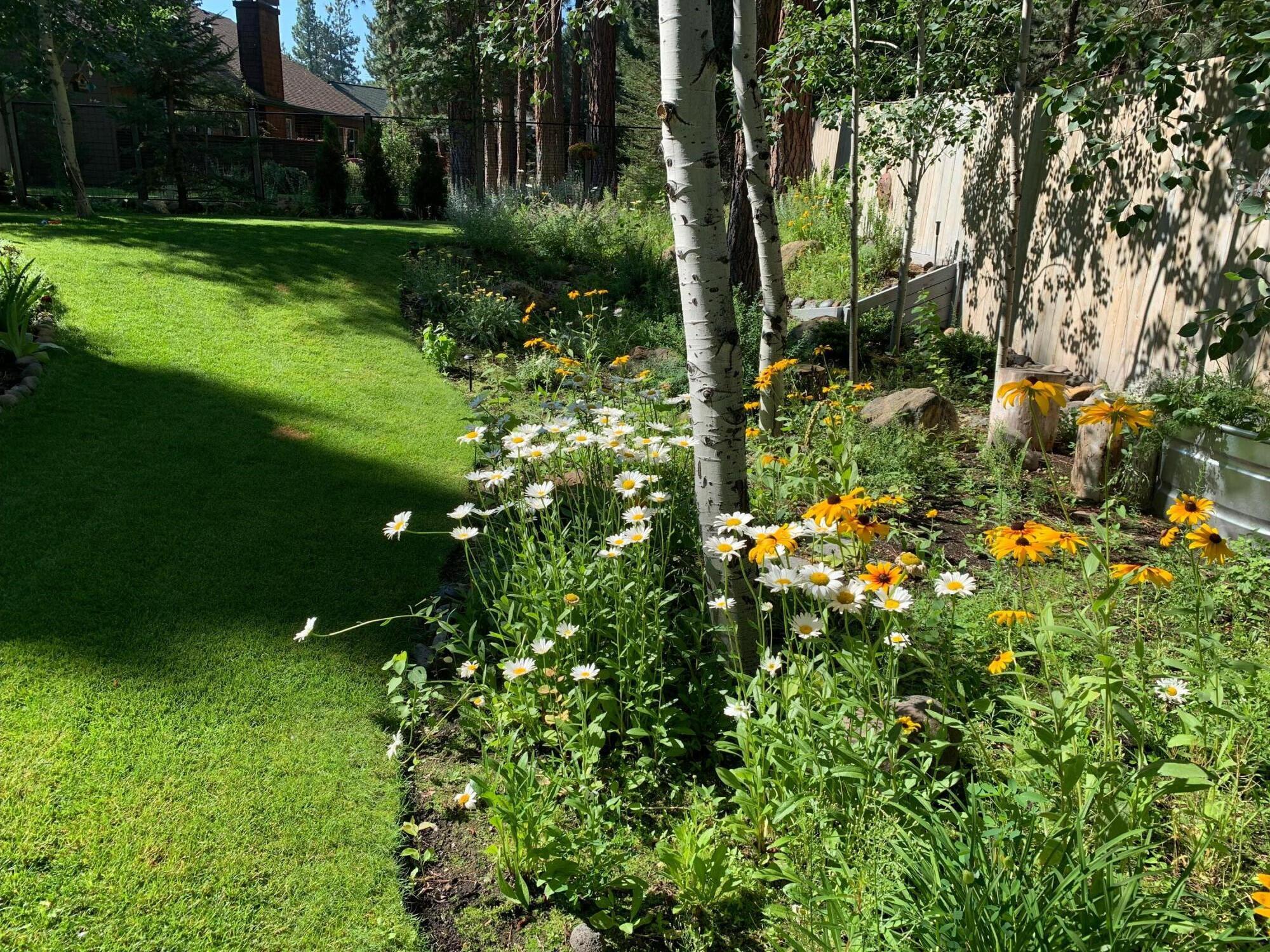 Buck Run - Residential