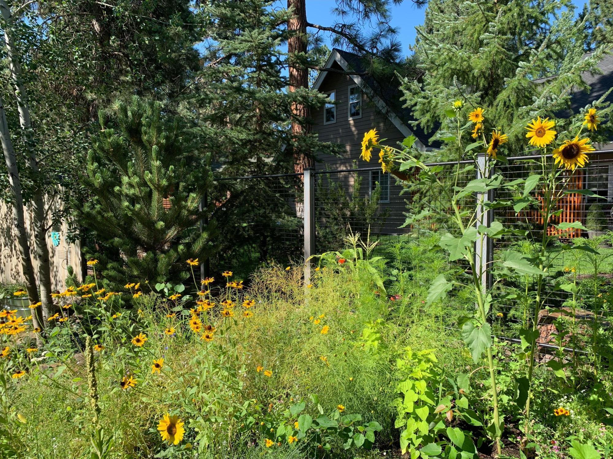 Buck Run - Residential