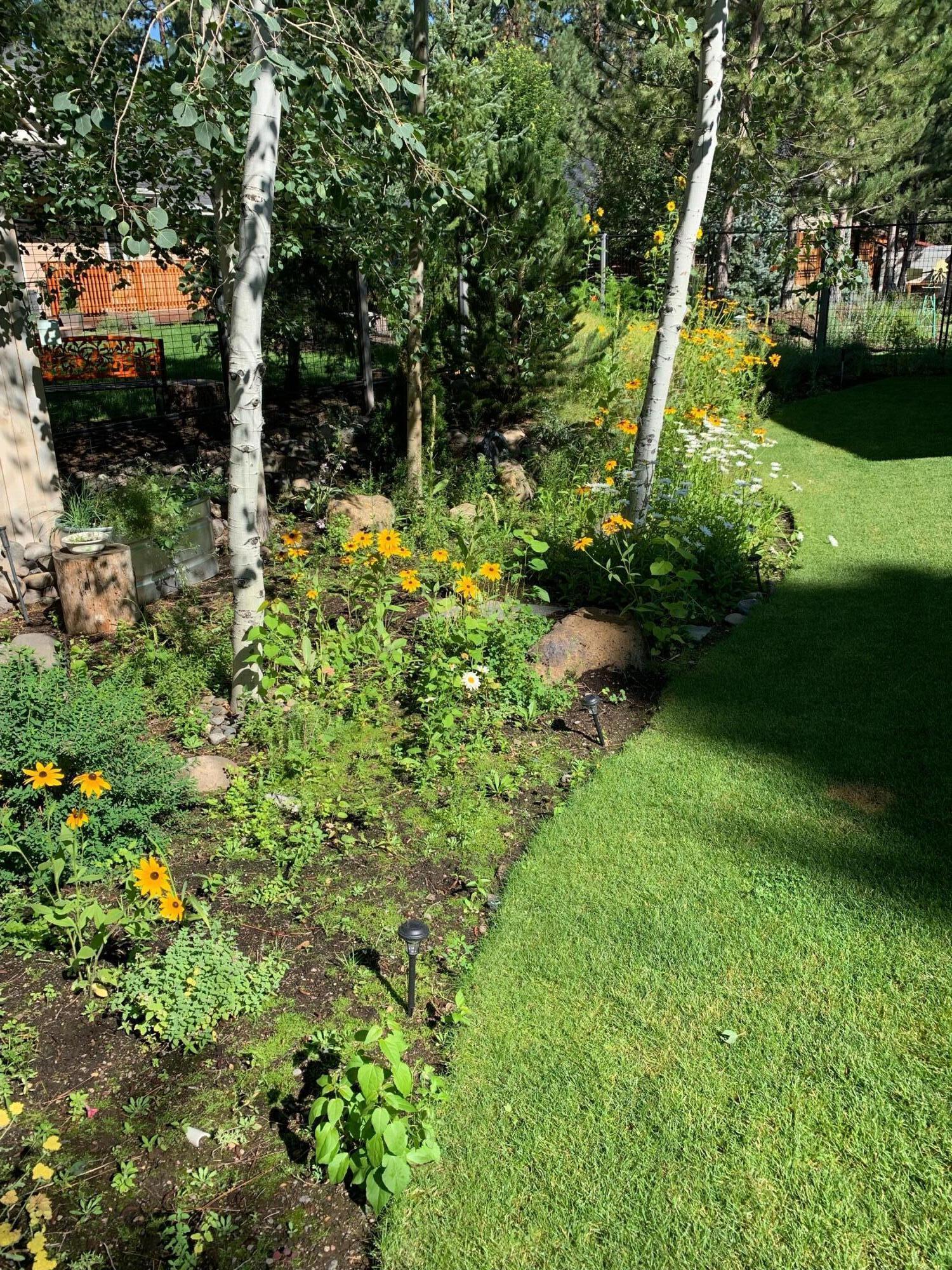 Buck Run - Residential