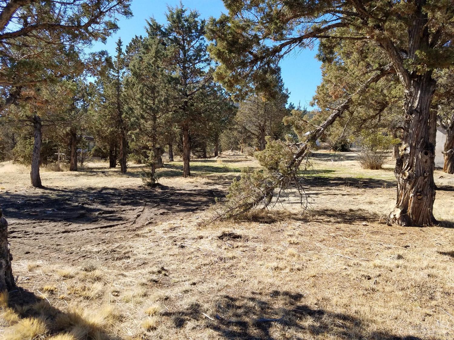 Idleway Acres - Land