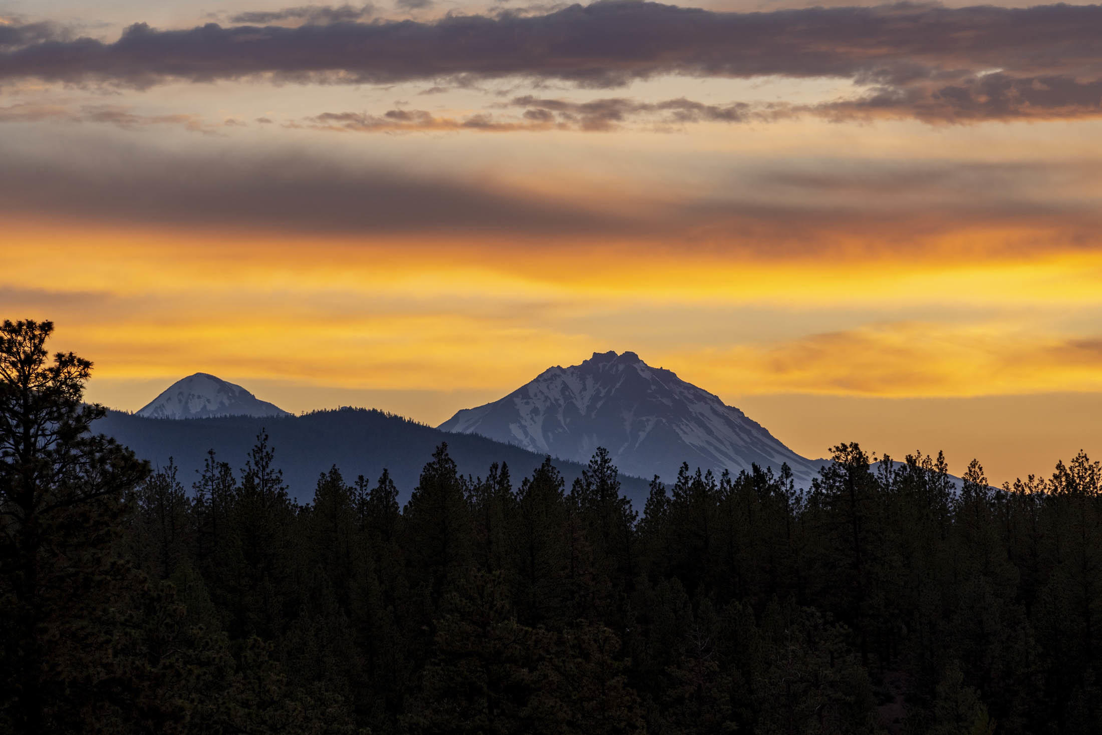 Shevlin Commons - Residential