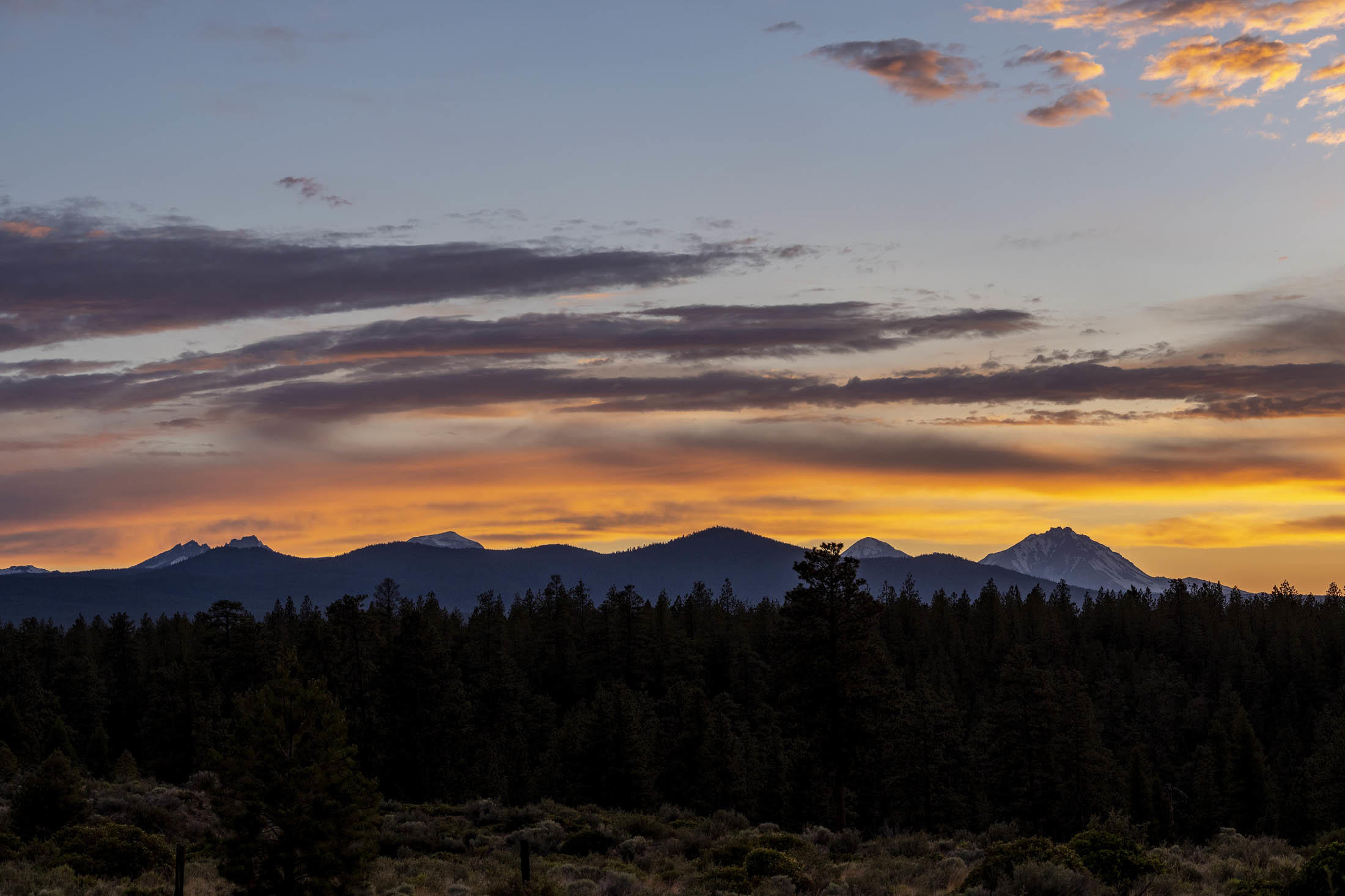 Shevlin Commons - Residential