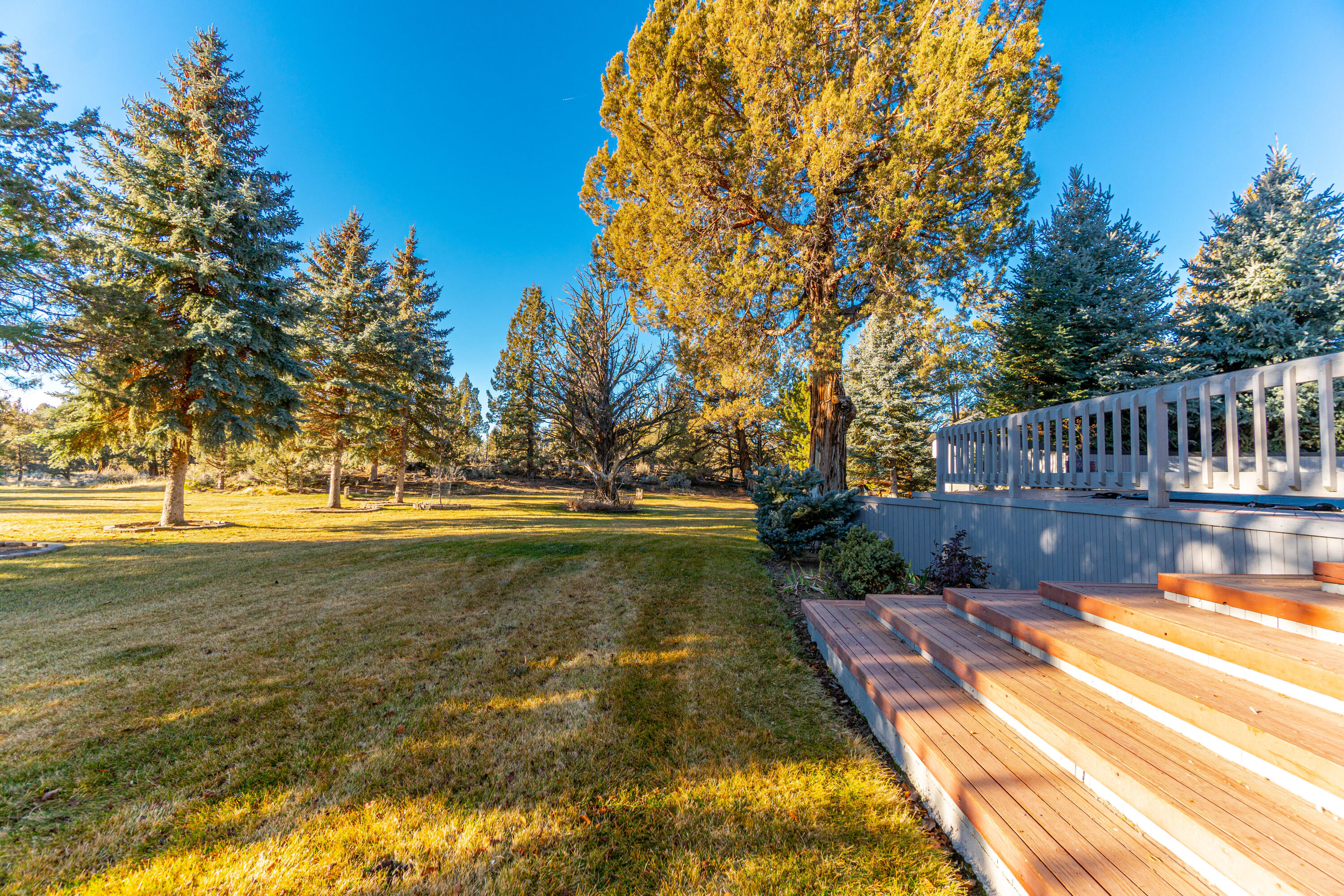 Boonesborough - Residential