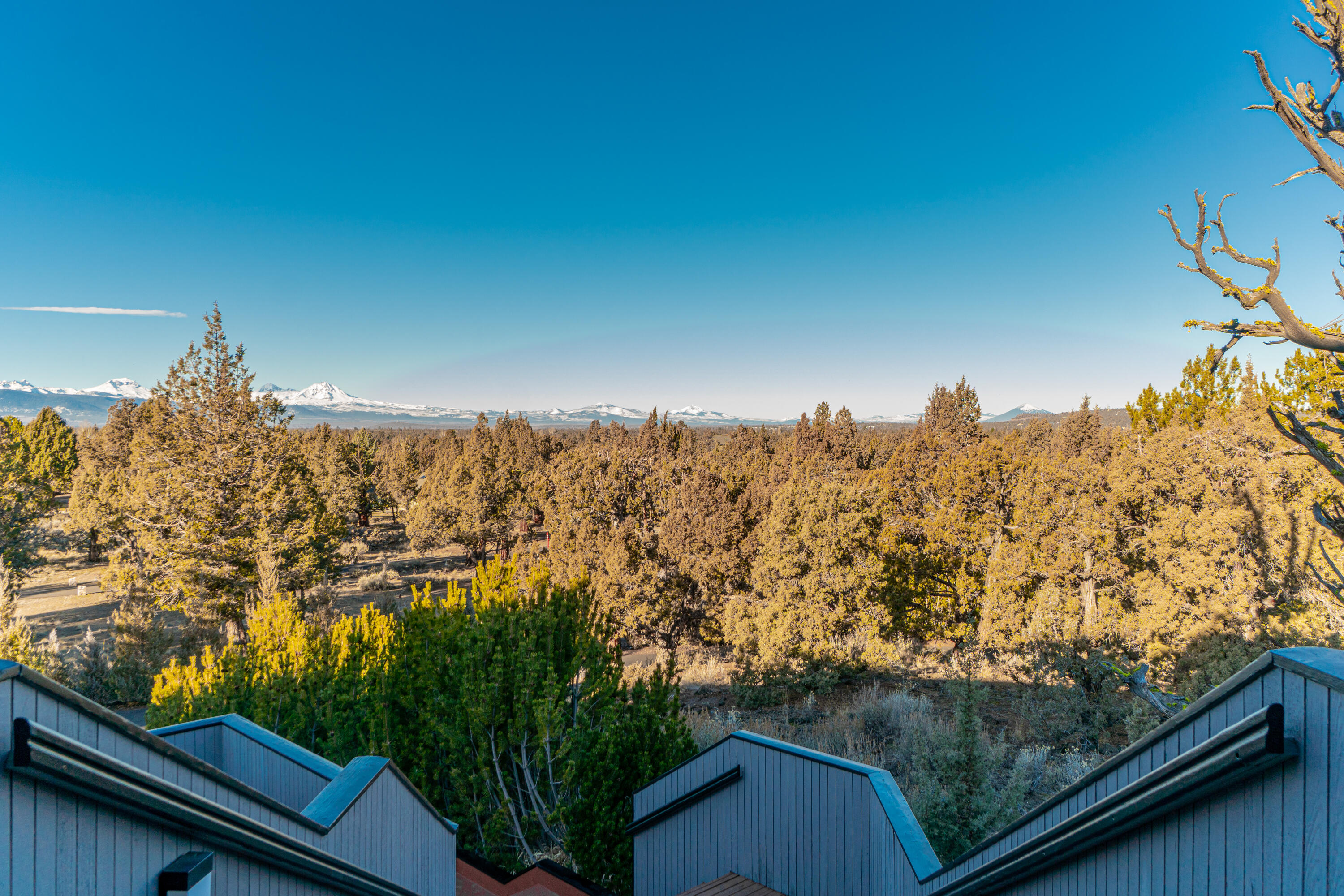 Boonesborough - Residential