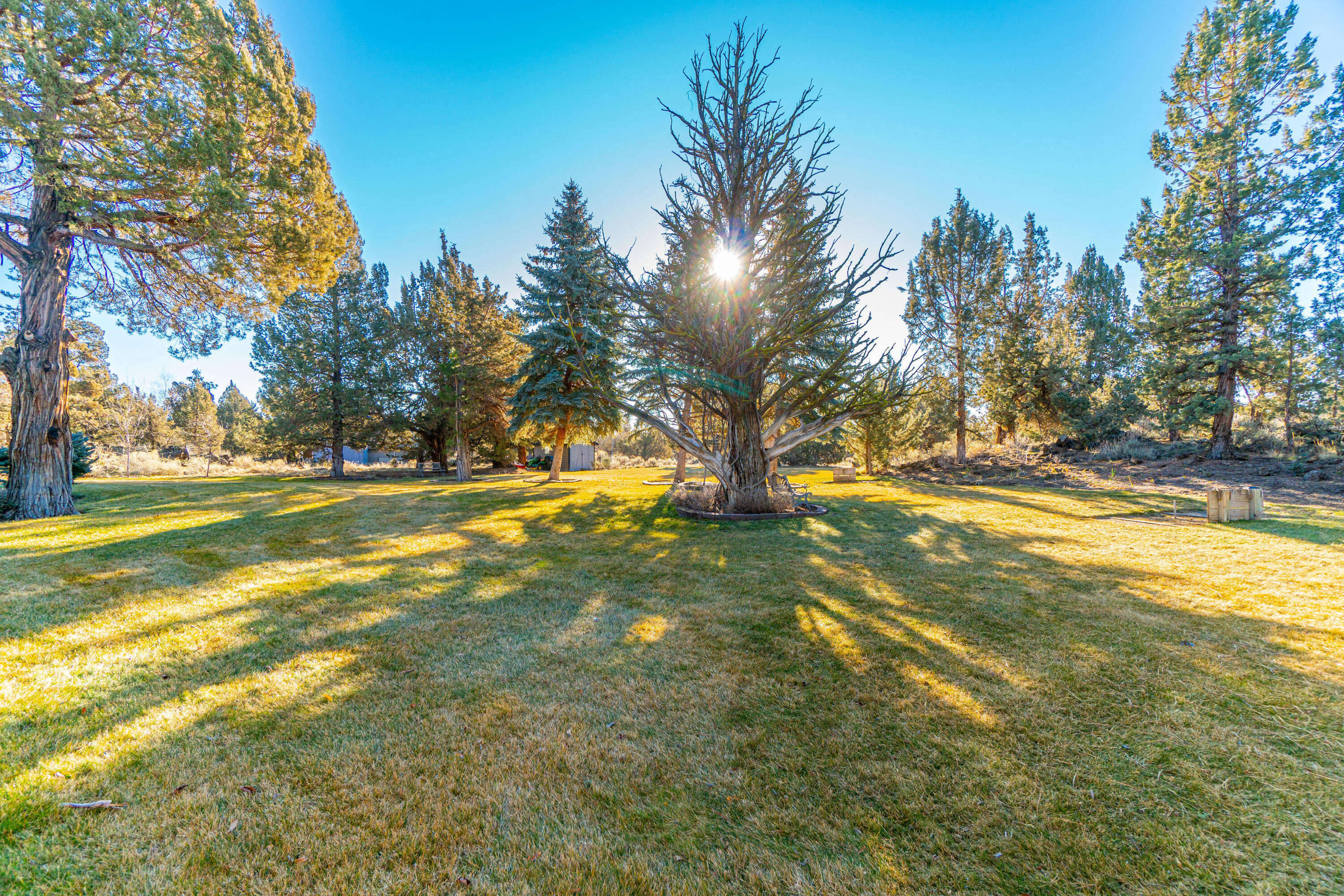 Boonesborough - Residential