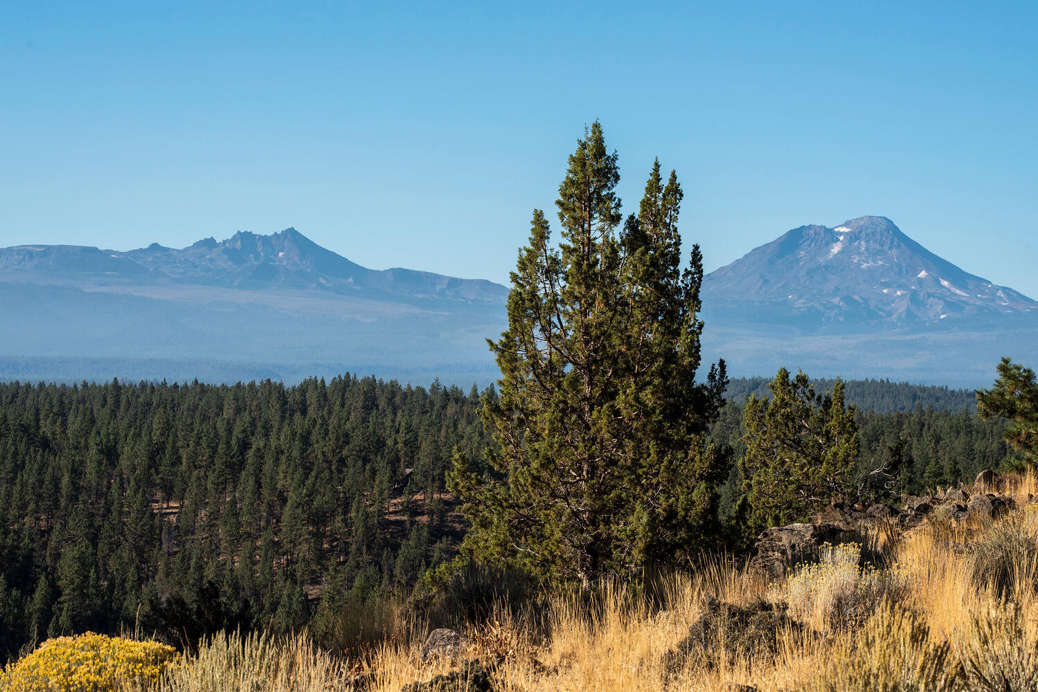 Squaw Creek Canyon - Residential