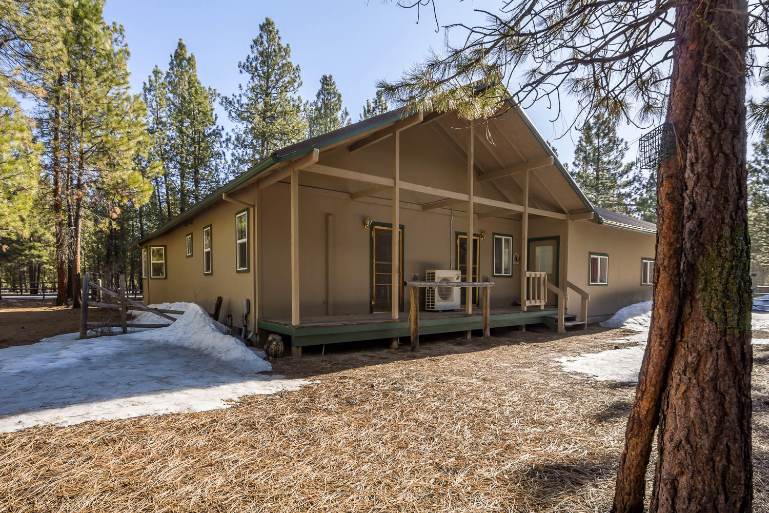 Ponderosa Pines - Residential