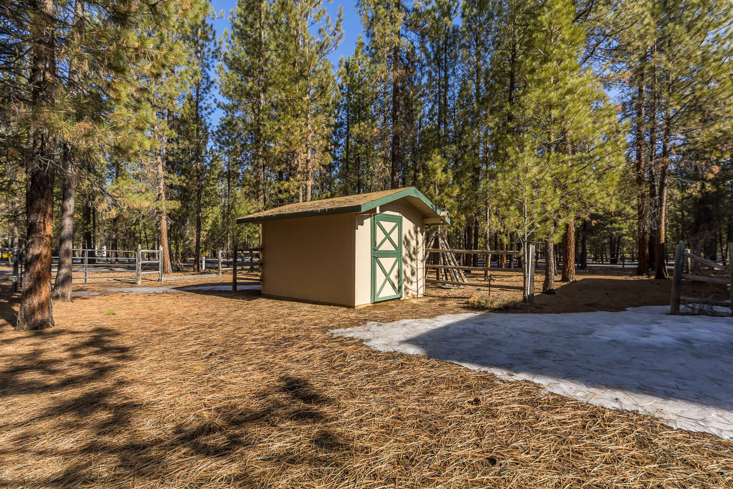 Ponderosa Pines - Residential