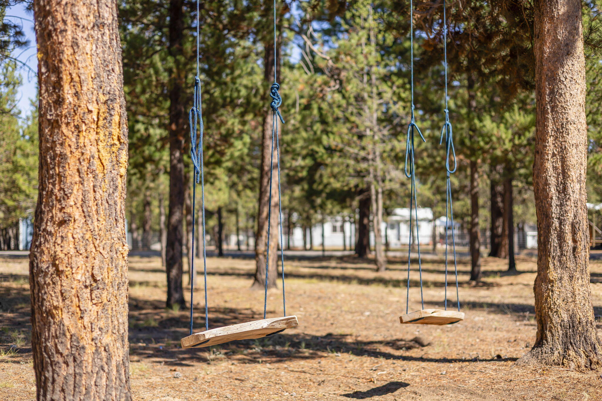 Forest View - Residential