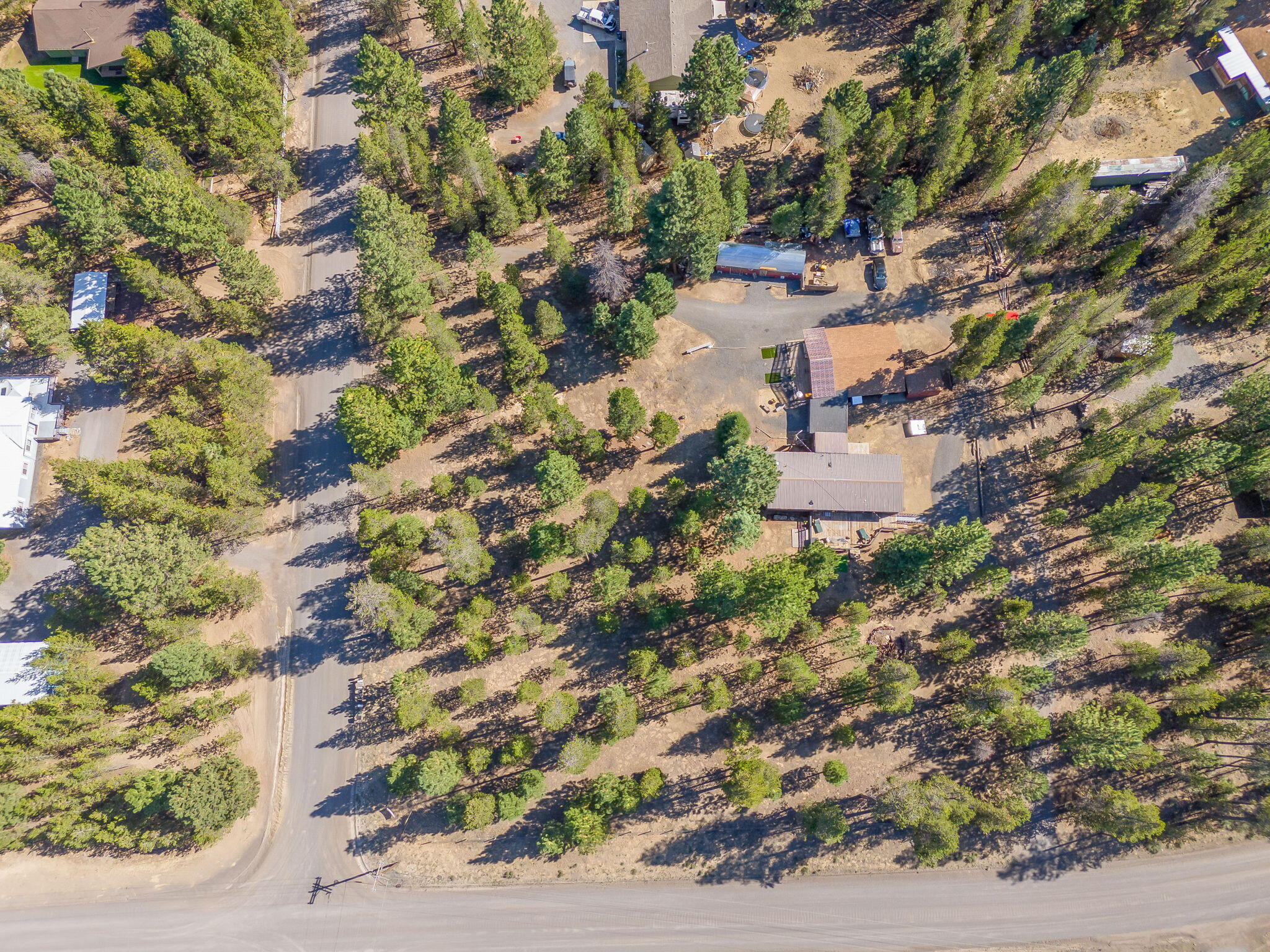 Forest View - Residential