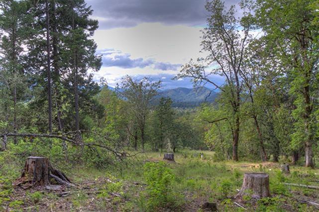 Leavitt Applegate Estates - Land