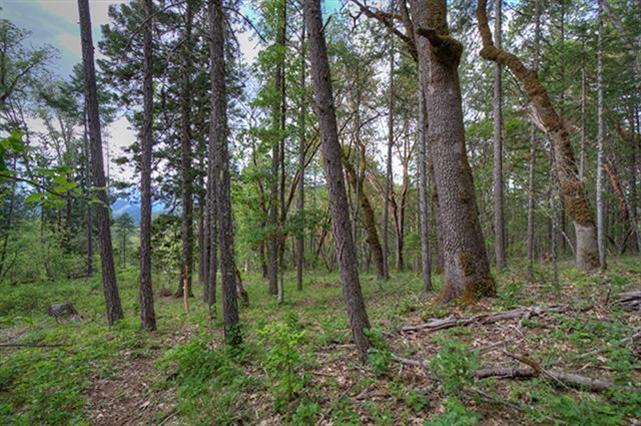 Leavitt Applegate Estates - Land