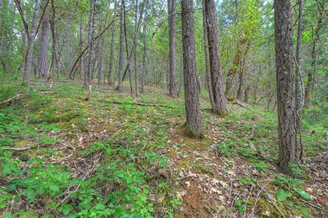 Leavitt Applegate Estates - Land