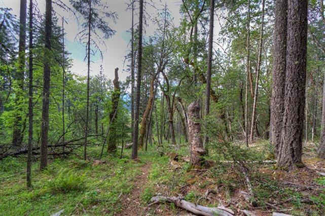 Leavitt Applegate Estates - Land