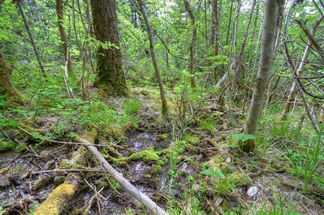 Leavitt Applegate Estates - Land