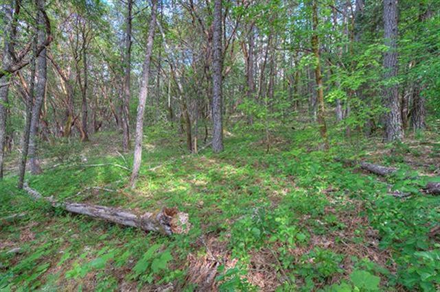 Leavitt Applegate Estates - Land