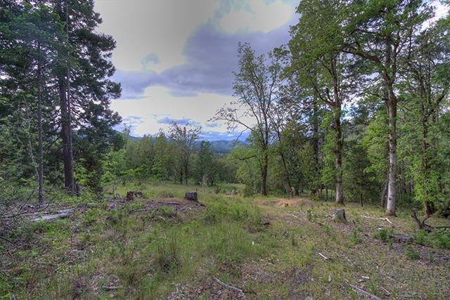 Leavitt Applegate Estates - Land