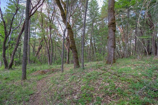 Leavitt Applegate Estates - Land