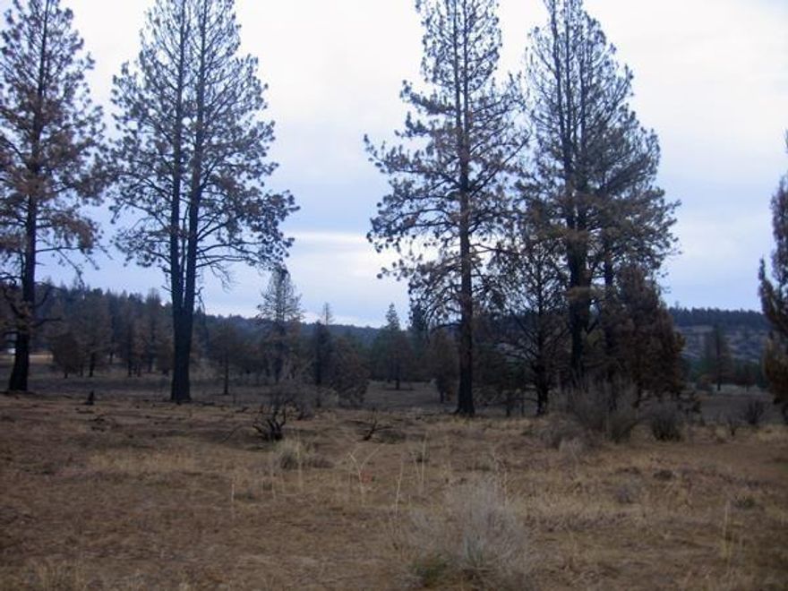 Great Price On This Nice Lot That Was Partially By The 2014 Fire. Trees Will Grow Back! Come Take A Look!