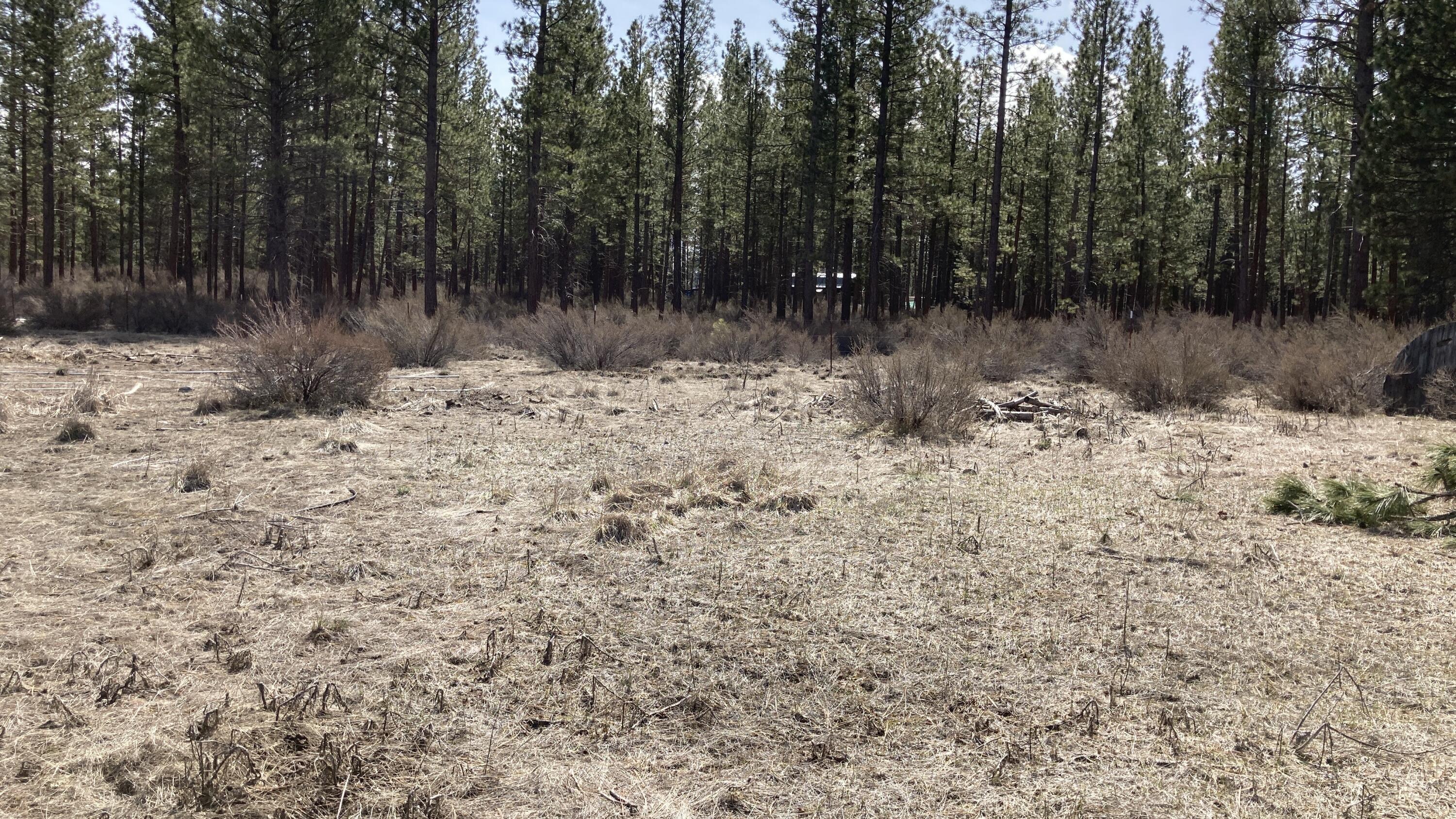 Sprague River - Residential