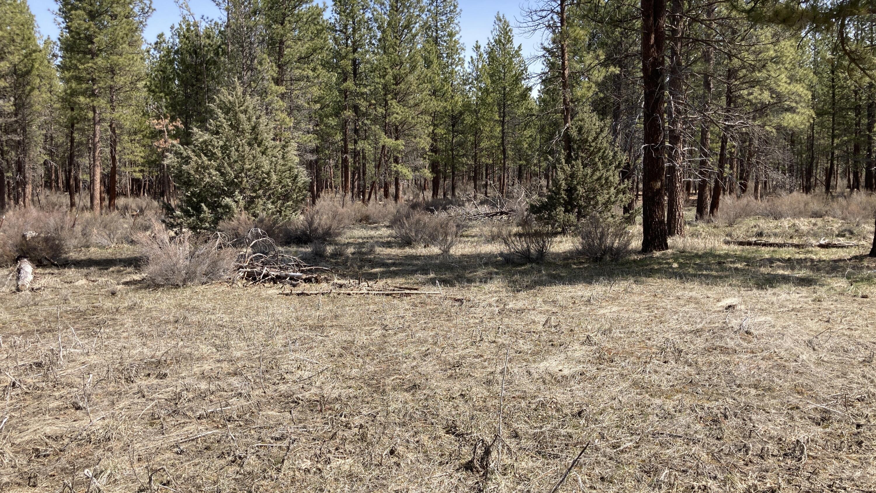 Sprague River - Residential