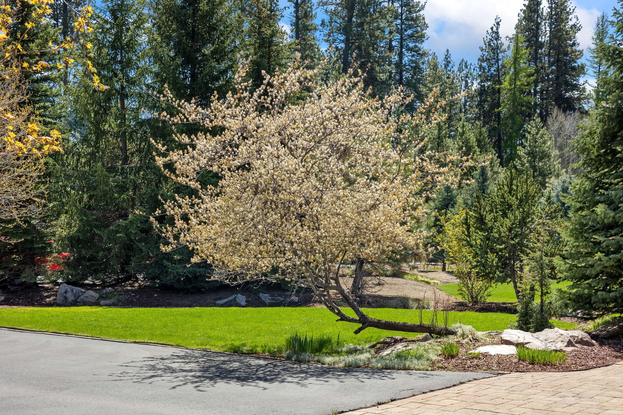 Metolius Meadows - Residential