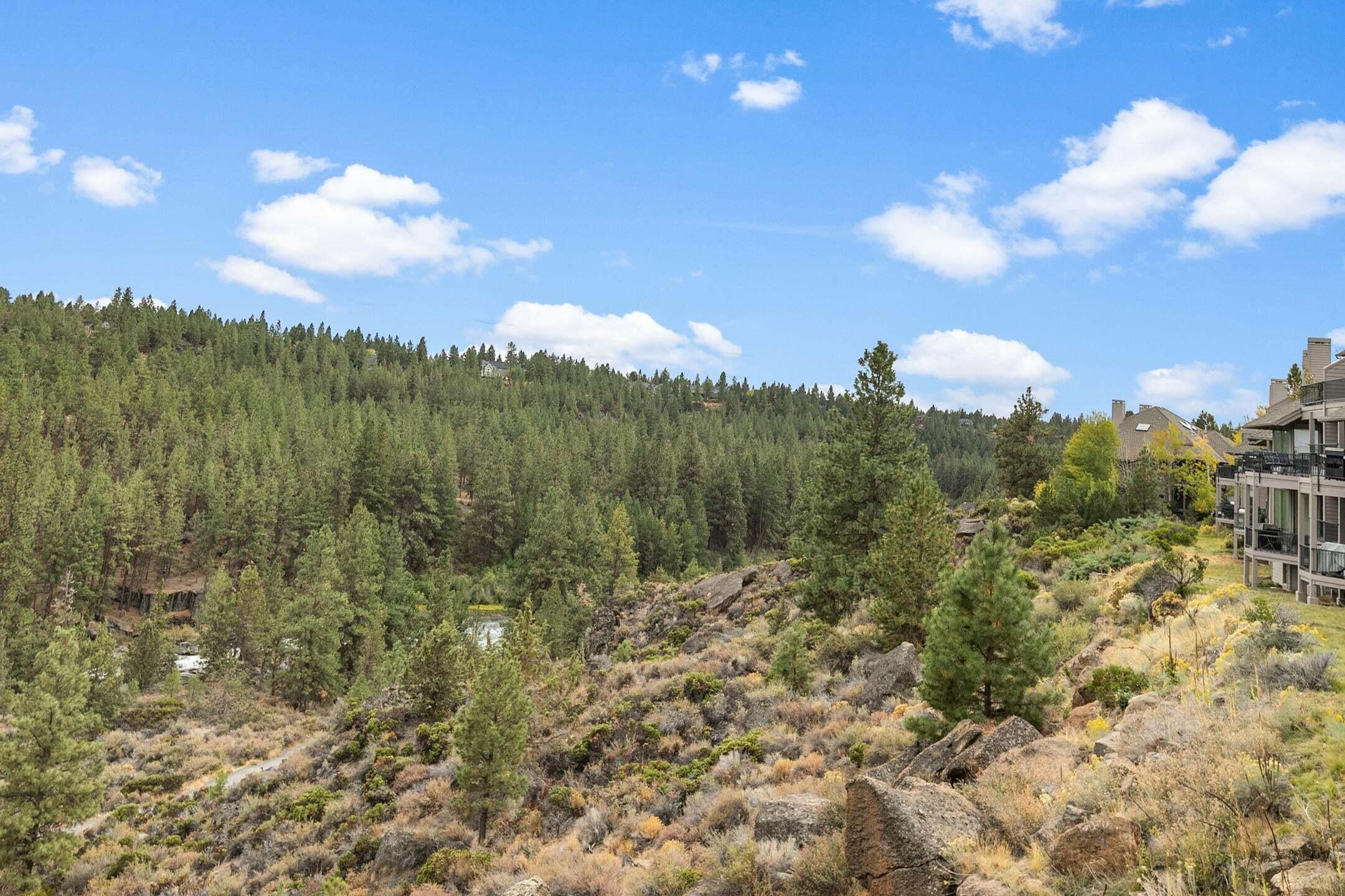 Mt Bachelor Village - Residential