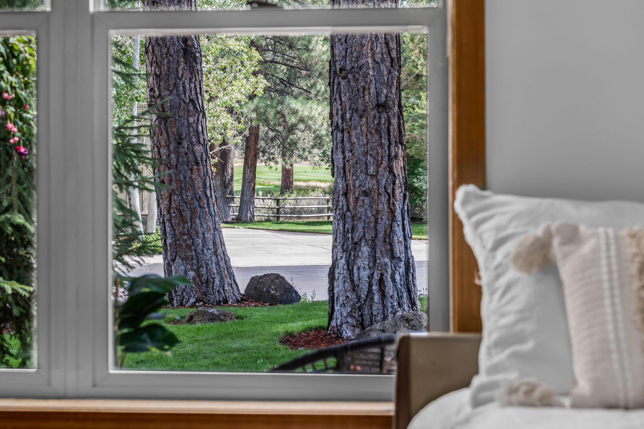 Mountain Pine - Residential