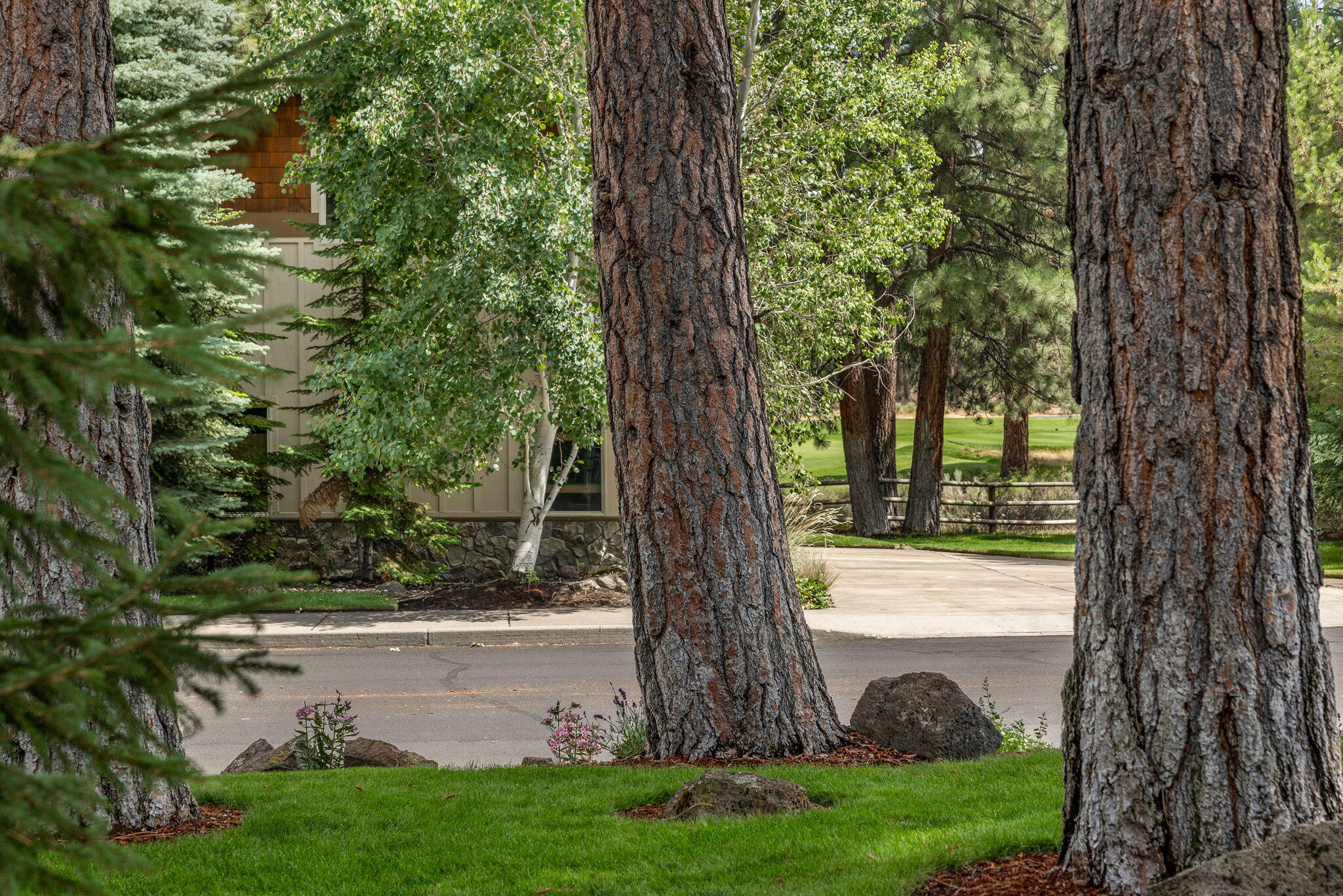 Mountain Pine - Residential