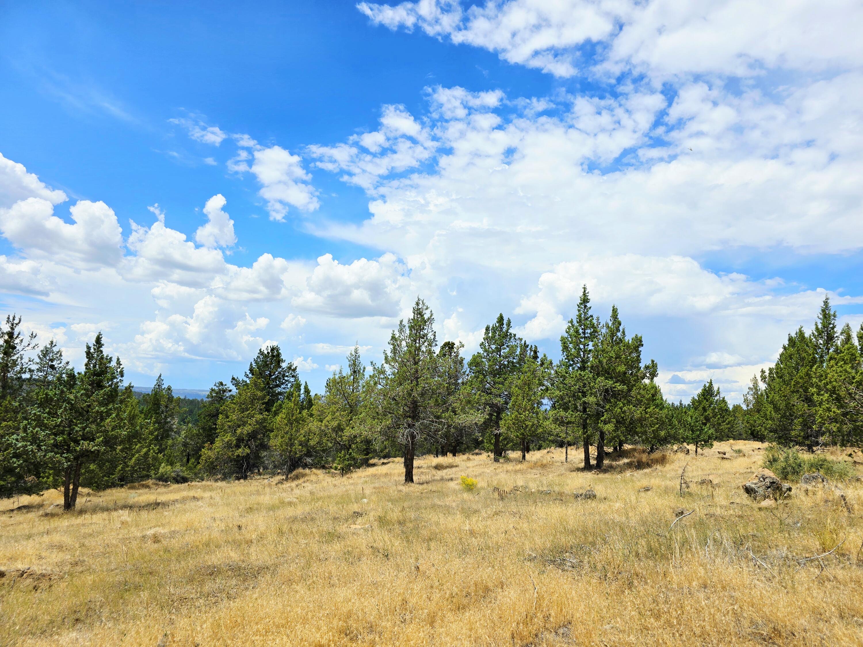 Klamath Falls Forest Estates -Hwy 66 Unit -Plat No. 2 - Land