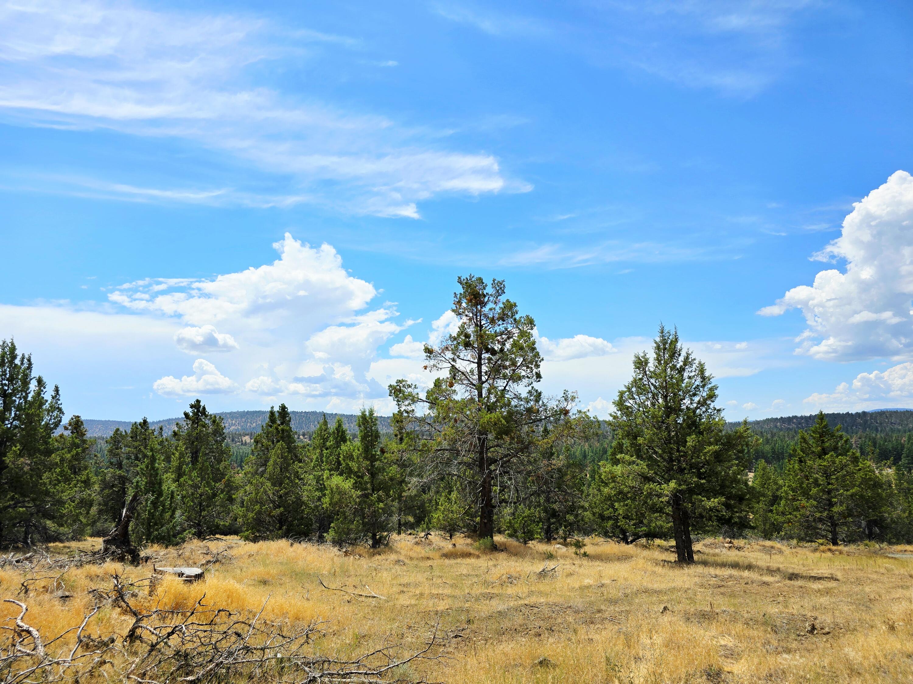 Klamath Falls Forest Estates -Hwy 66 Unit -Plat No. 2 - Land