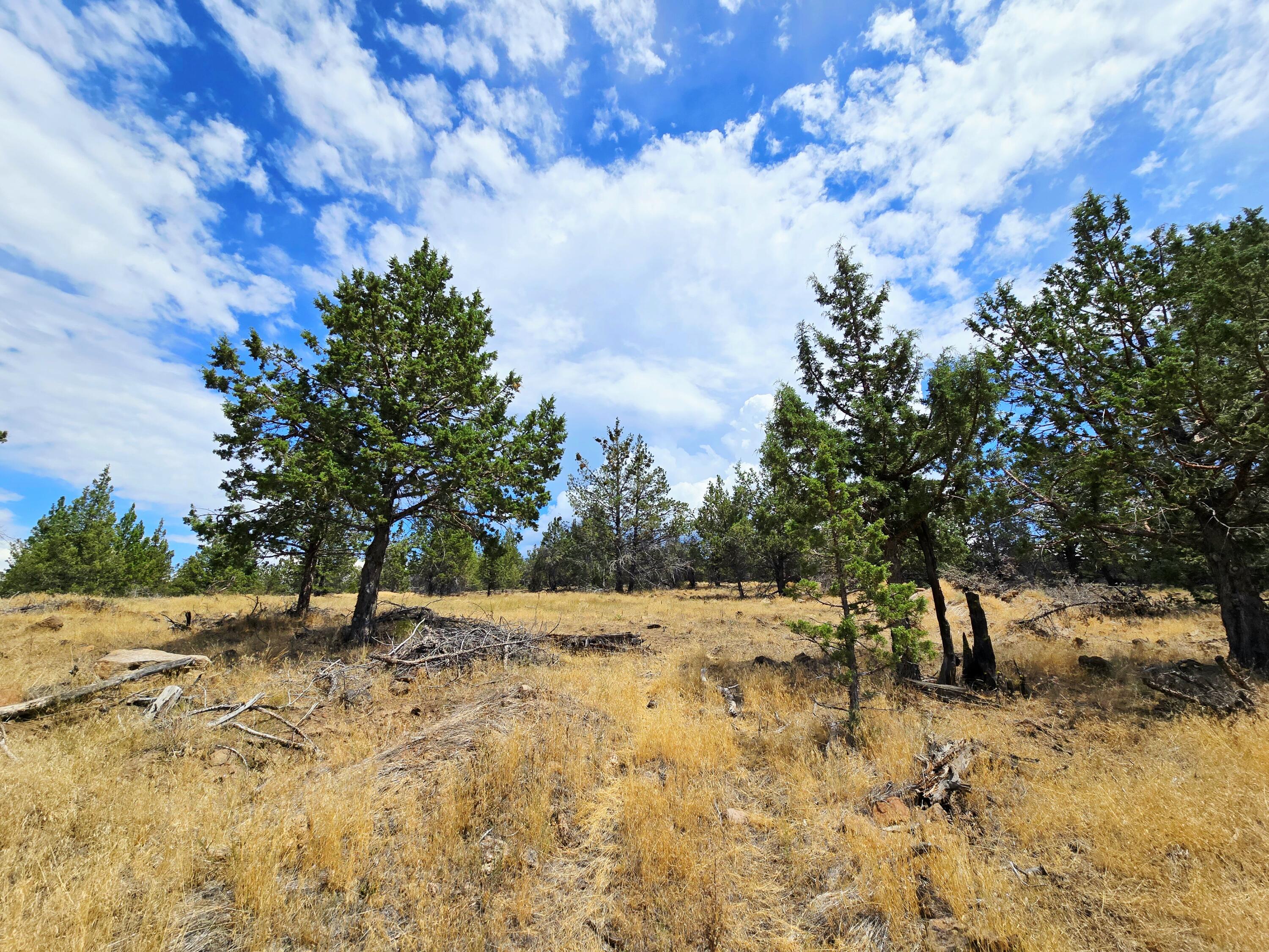 Klamath Falls Forest Estates -Hwy 66 Unit -Plat No. 2 - Land