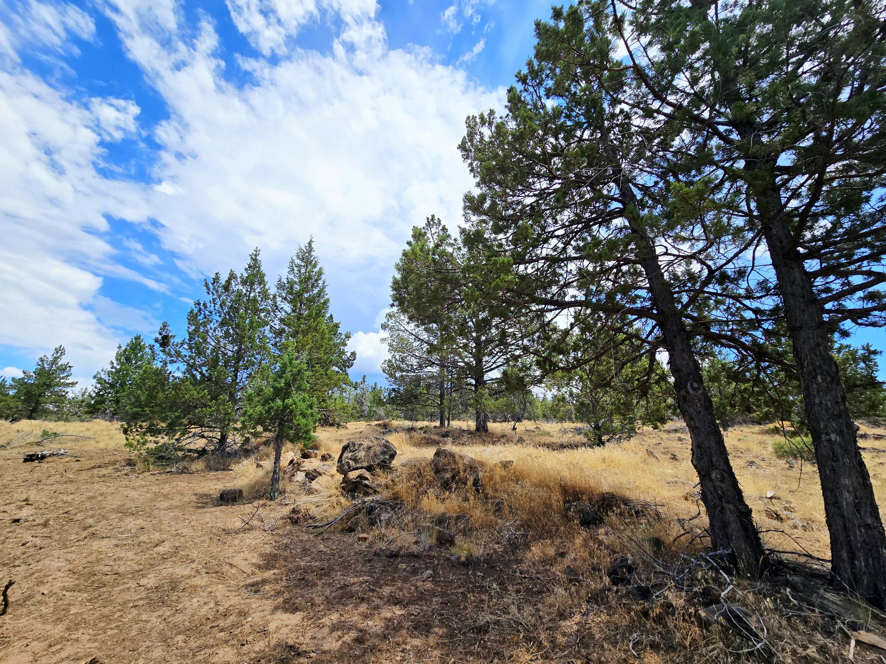 Klamath Falls Forest Estates -Hwy 66 Unit -Plat No. 2 - Land