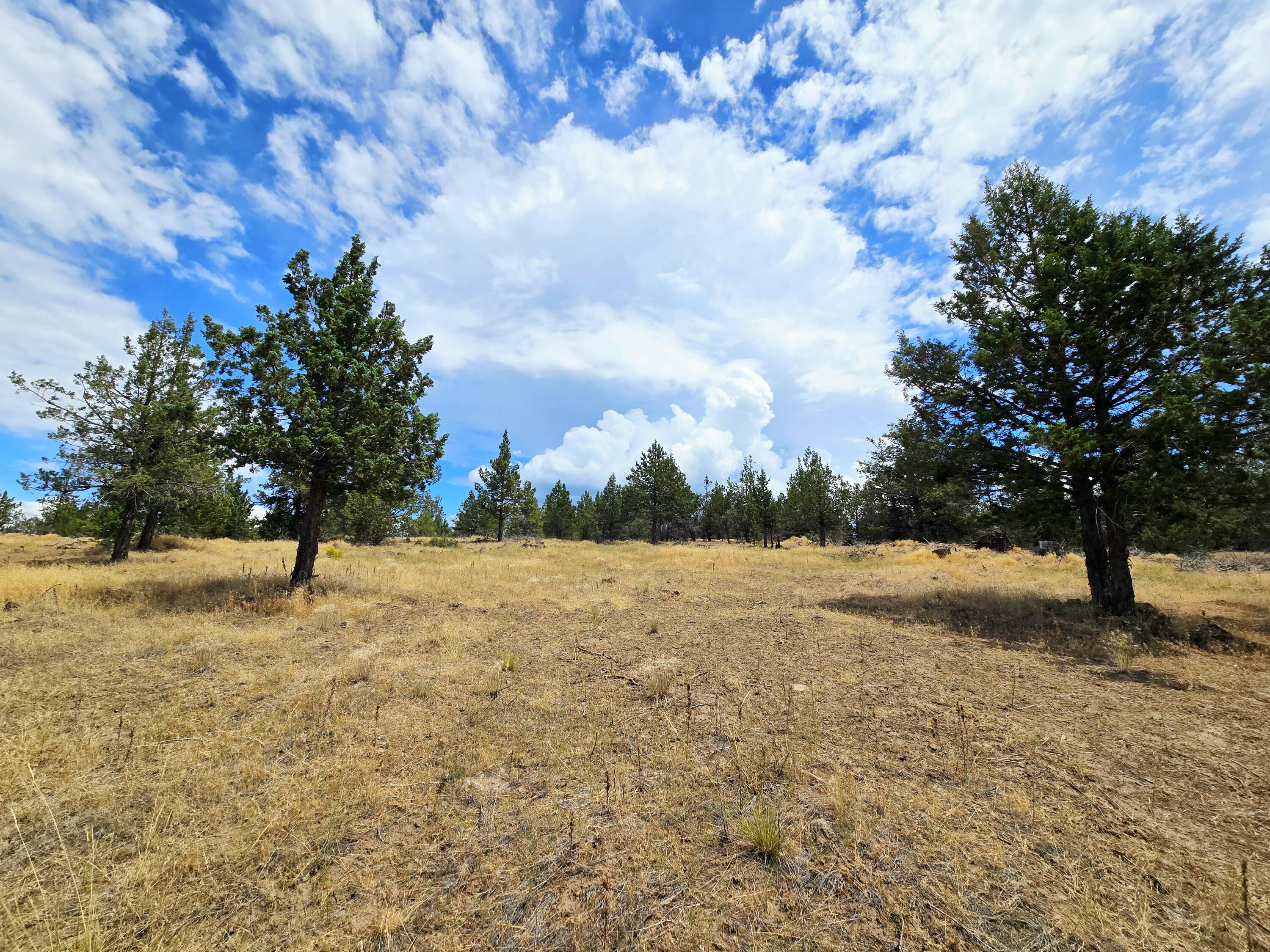 Klamath Falls Forest Estates -Hwy 66 Unit -Plat No. 2 - Land