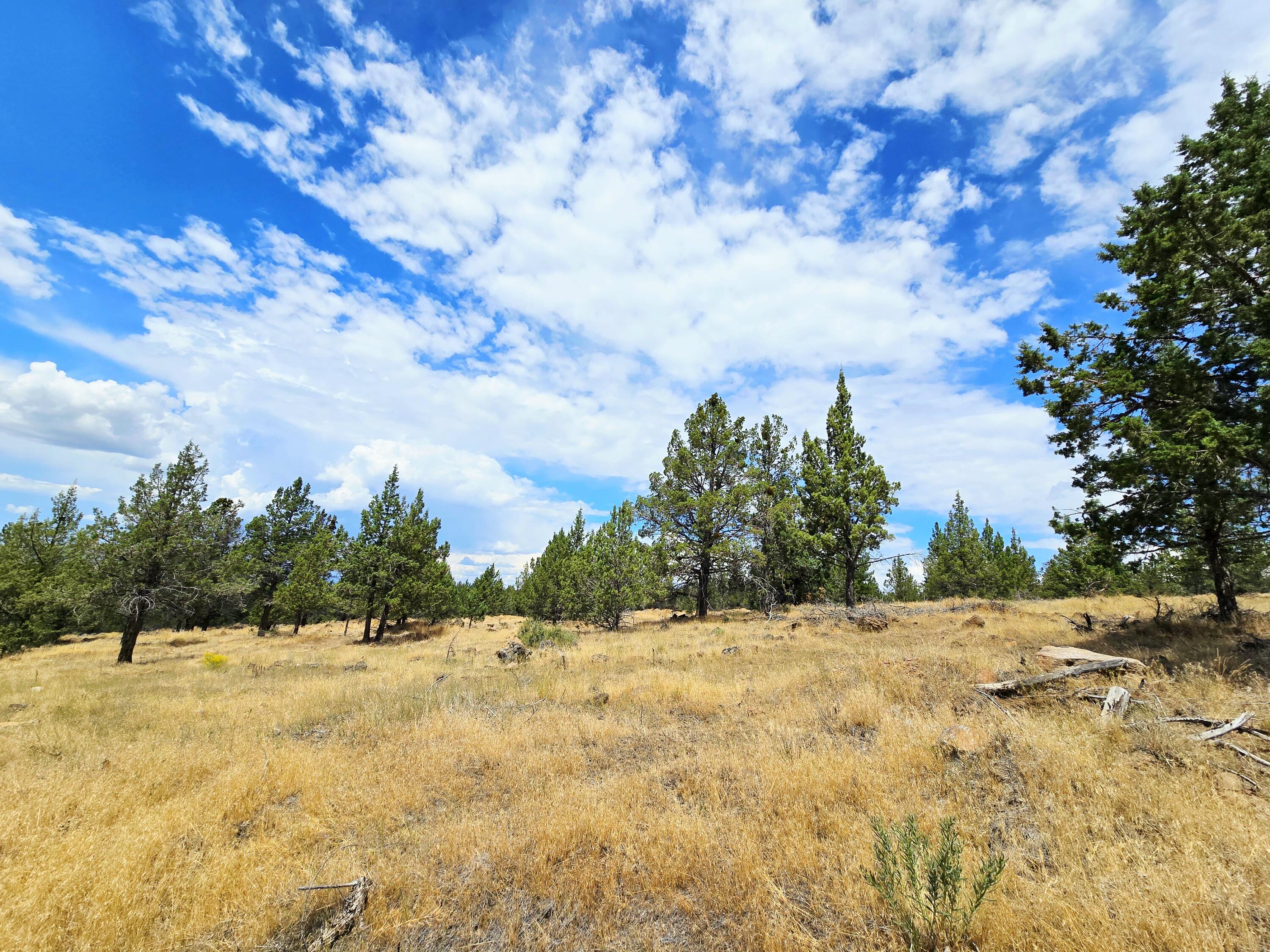 Klamath Falls Forest Estates -Hwy 66 Unit -Plat No. 2 - Land